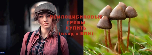 соль курить ск Коряжма