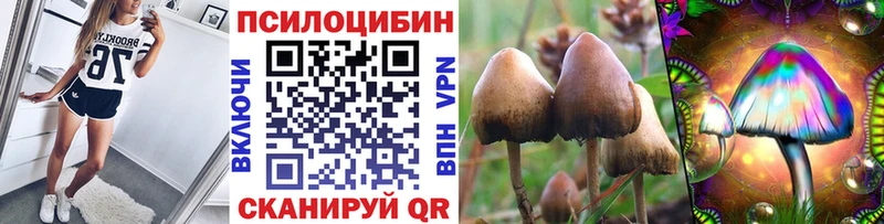 Псилоцибиновые грибы Psilocybine cubensis  Купить  Ковылкино 