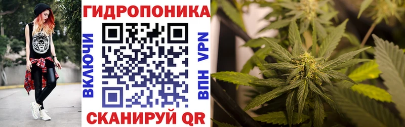 Купить где Ковылкино Бошки Шишки OG Kush